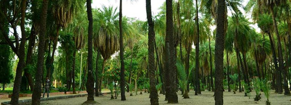Indira Park